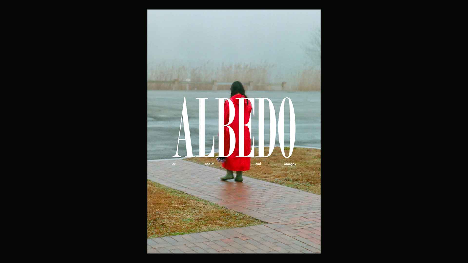 Albedo 7